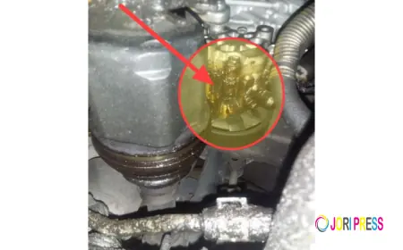 Repair Shop Solutions Launches Most Comprehensive Photo Editing for Digital Vehicle Inspections