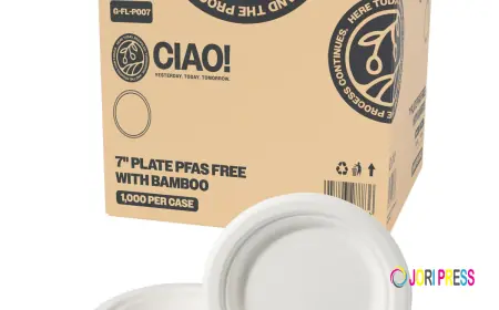 What Makes Takeout Food Containers Eco-Friendly?