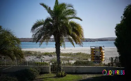 Discover the West Coast Through Luxury Slackpacking in South Africa