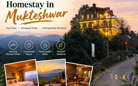 A Top Homestay in Mukteshwar for a Peaceful Mountain Escape