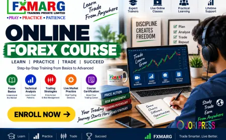 How an Online Forex Course Helps You Understand Currency Markets