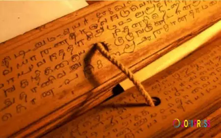Explore Ancient Siddhar Wisdom with Online Nadi Astrology and Palm Leaf Readings