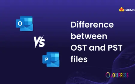 OST to PST Converter Review: A Complete Guide to Converting OST Files to PST