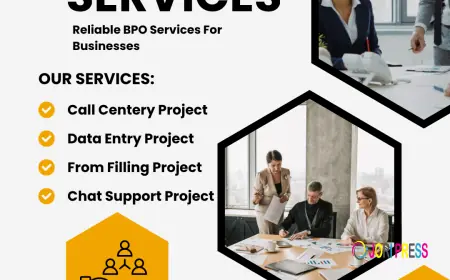 Professional Data Entry Projects for Companies