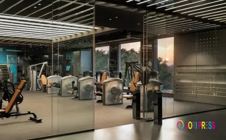 True Elevate Offers Effective Workouts and Expert Guidance in Zirakpur