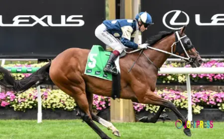 What Are Horse Racing Forecast Odds and How Do They Work?