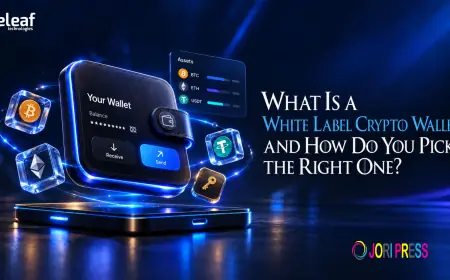 What Is a White Label Crypto Wallet and How Do You Pick the Right One?