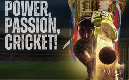 How to Get Your Online Cricket ID?