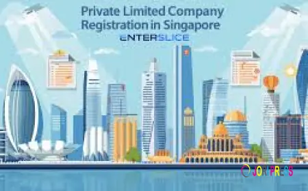 Registering a Private Limited Company in Singapore: A Practical Guide for Entrepreneurs