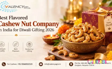 Best Flavored Cashew Nut Company in India for Diwali Gifting 2026