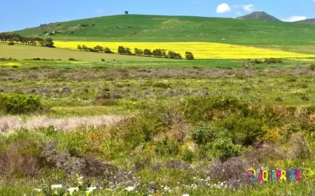 Discover Southern Africa: From Self-Drive Adventures to Safari and Beach Escapes