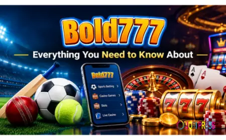 Everything You Need to Know About BOLD777