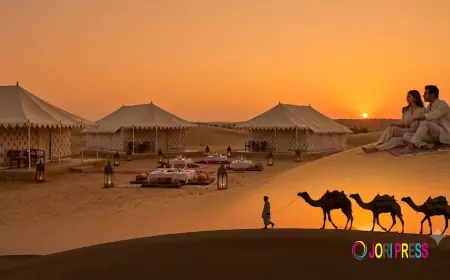 India’s Finest: Luxury Holidays Through Royal Palaces, Wild Jungles & Golden Deserts