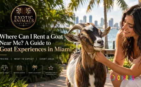 Where Can I Rent a Goat Near Me? A Guide to Goat Experiences in Miami