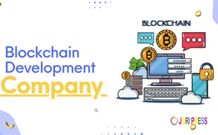 How to Choose the Right Blockchain Development Company in India