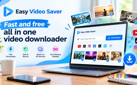 Easy Video Saver Offers a Convenient Online Video Downloading Solution