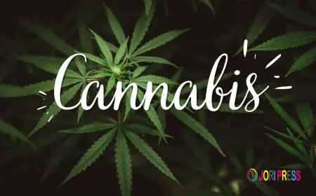 High Rollers Introduces New Affiliate Rewards Program for Cannabis Community Members