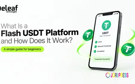 What Is a Flash USDT Platform and How Does It Work?