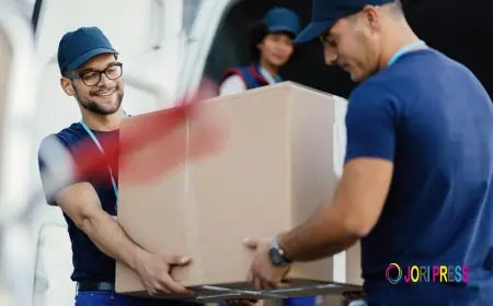 Scope Removal Highlights Its Range of Removal Services for London Residents