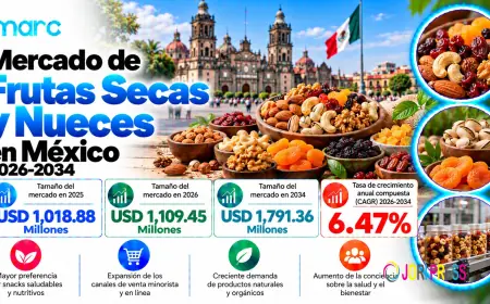 Tamaño del mercado de frutas deshidratadas y frutos secos en México, participación, tendencias de crecimiento y pronóstico 2026-2034