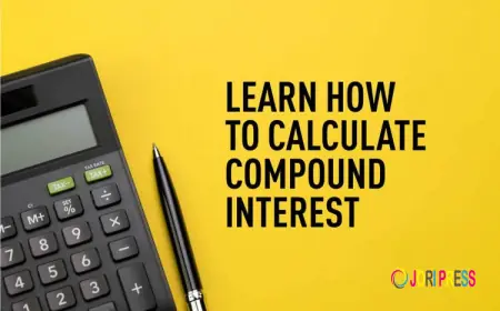 How to Track Long-Term Savings Growth Using a Compound Interest Calculator