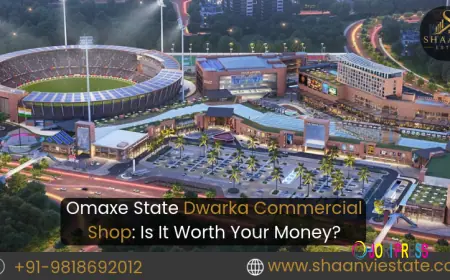 Omaxe State Dwarka Commercial Shop: Is It Worth Your Money