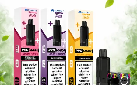 Understanding Modern Prefilled Pod Design and Flavour Technology