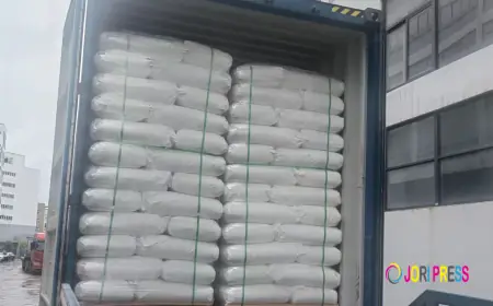 Top 8 HPMC Suppliers for Cement-Based Materials in 2026
