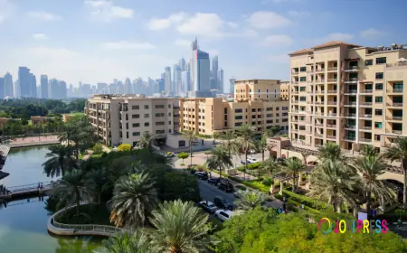 How a Dubai Property Advisor Identifies Red Flags in Property Deals