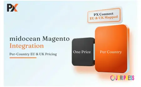 midocean Magento Integration: Managing EU & UK Pricing Across Markets
