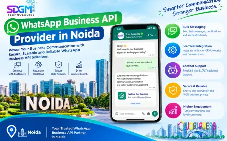 How a WhatsApp Business API Provider in Noida Can Help Businesses Generate and More Leads