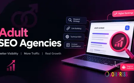 11 Leading Adult SEO Agencies in  USA