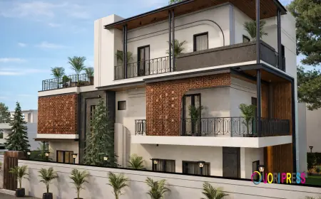 Home Renovation in Dwarka Delhi 2026: Planning, Design & Execution Guide