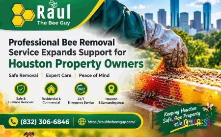 Professional Bee Removal Service Expands Support for Houston Property Owners