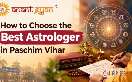 How to Choose the Best Astrologer in Paschim Vihar