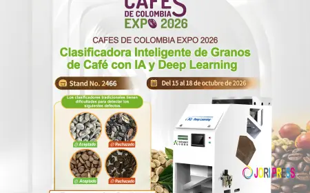 How Does a Coffee Color Sorter Improve Green Coffee Quality?