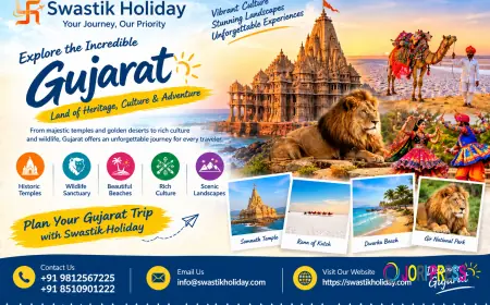 How to Choose the Right Travel Company for Your Gujarat Holiday