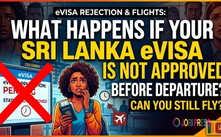 What Happens If Your Sri Lanka eVisa Is Not Approved Before Departure?