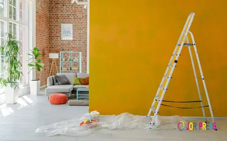 Leading House Painting Company in Madison, WI Sets New Benchmark for Exterior Preparation