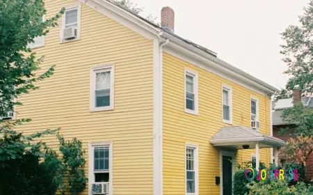 From Drab to Dramatic: Boosting Curb Appeal with New Siding