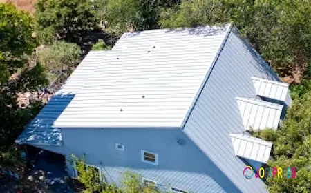 Looking for Roof Fixers Near Me? Avoid These Common Mistakes