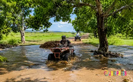 Discover the Island Differently with a Zanzibar Quad Adventure Tour