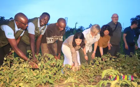 Growing Hope in Kyaka II: How ADRA’s ‘Grow Together’ Project is Transforming 500 Farmers