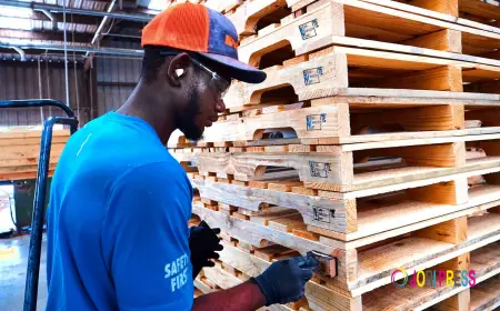 Heat-Treated Pallets in Dublin: What the 56 ºC, 30-Minute Rule Means for Exporters