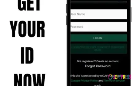 World777 Official – A Complete Guide to Website Features and Account Awareness