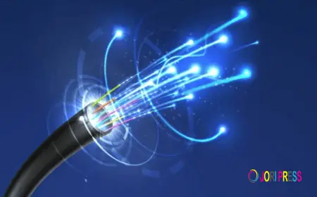 Business Fiber Internet: A Complete Guide for Buyers