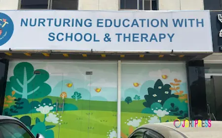 N.E.S.T: A Complete Special Education and Therapy Center in Islamabad