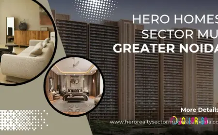 Is Now the Right Time to Book at Hero Homes Sector MU Greater Noida?
