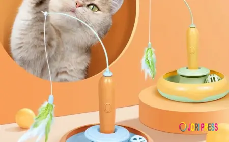 2-in-1 Cat Toy with Feather – Interactive Self-Play Turntable