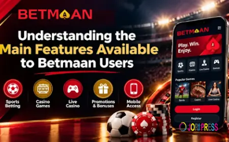 Understanding the Main Features Available to Betmaan Users